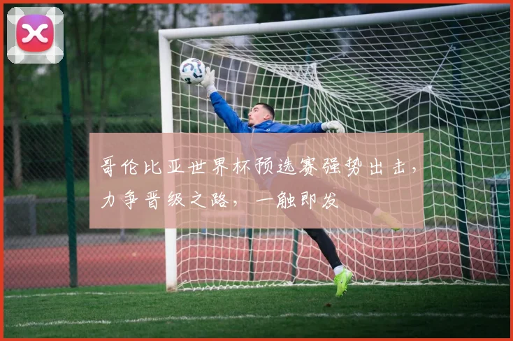 哥伦比亚世界杯预选赛强势出击，力争晋级之路，一触即发