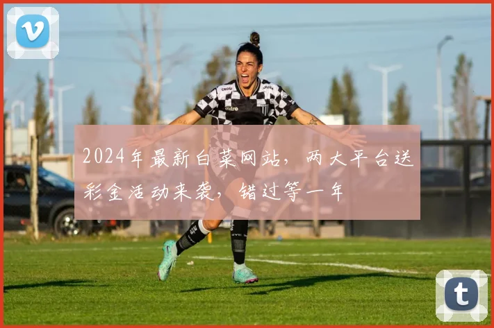 2024年最新白菜网站，两大平台送彩金活动来袭，错过等一年