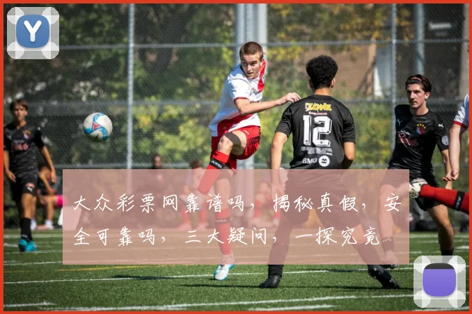 大众彩票网靠谱吗，揭秘真假，安全可靠吗，三大疑问，一探究竟